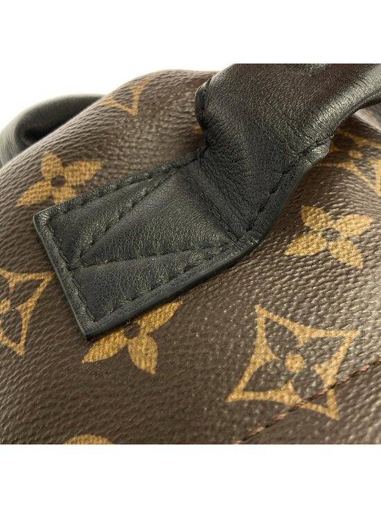 Louis Vuitton Monogram Palm Springs Backpack PM main image 3